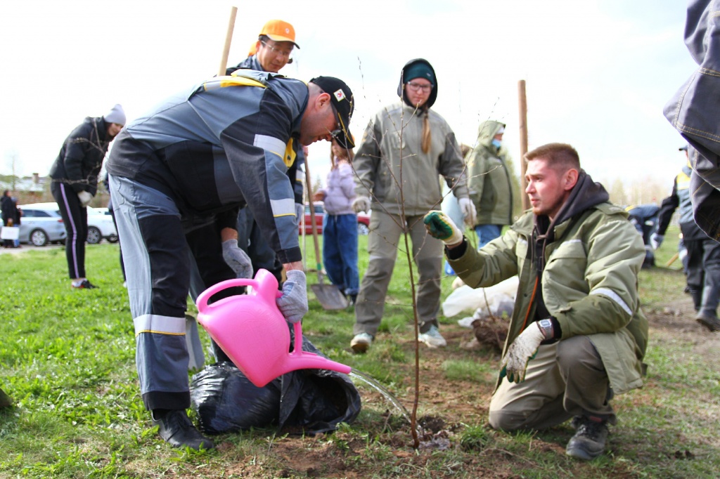 ������� ��������CAMC8081.jpg